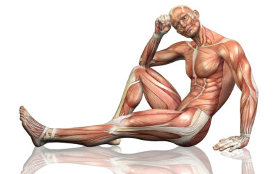 A Fasciák Felfedezése